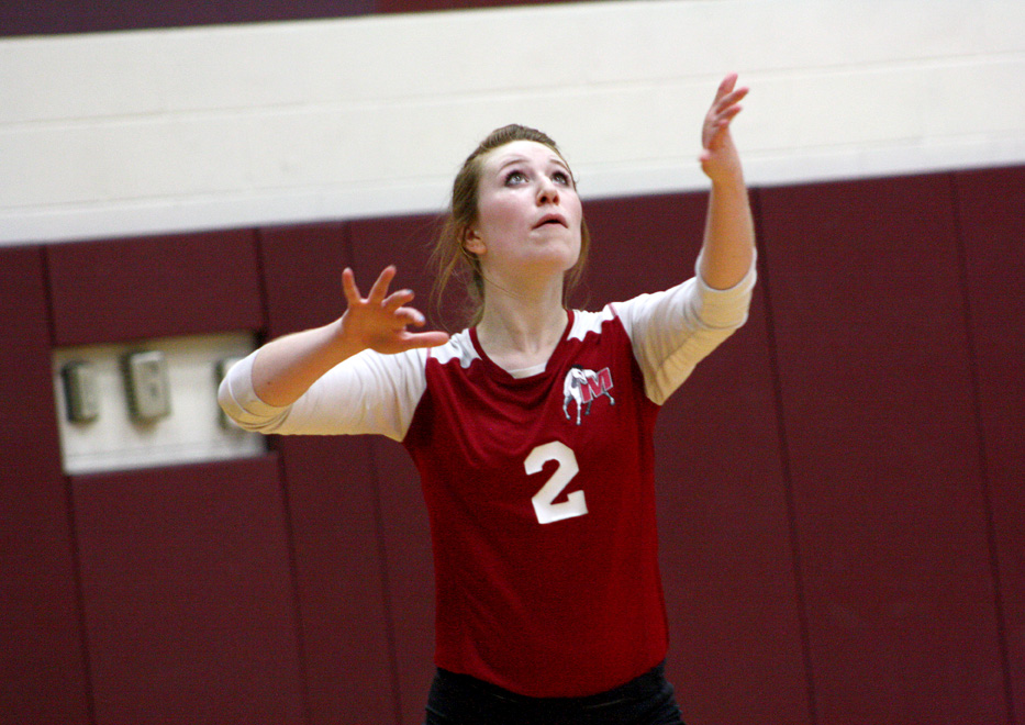 Four Volleyball Players Earn Top Honors